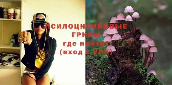ПСИЛОЦИБИНОВЫЕ ГРИБЫ Алексеевка