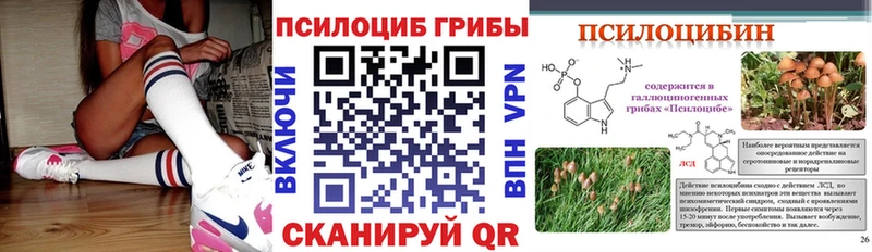 Псилоцибиновые грибы MAGIC MUSHROOMS  Фрязино 